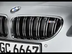 BMW M6 Gran Coupe Front Grille image