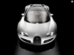 Veyron Grand Sport Front View 'White' image