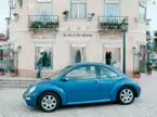 Beetle Side View image
