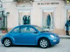Beetle 'True Blue' image