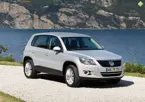 Tiguan image