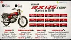 Yamaha RX 135 5-Speed: License to Thrill image
