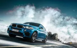 2016 BMW X6 M (P)