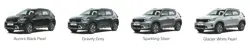 Kia Sonet Aurochs Edition Colour Options