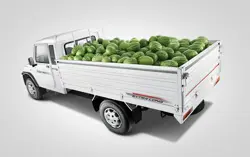 Mahindra Big Bolero Pick-up Rear 3-Quarter