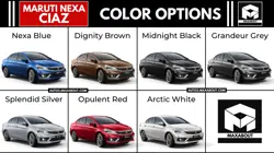 Maruti Ciaz Colour Options