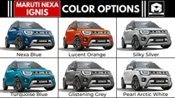Maruti Ignis Colour Options