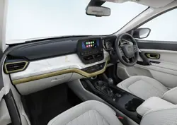 Tata Safari Gold Edition White Colour Interior