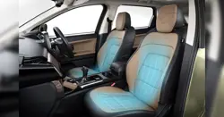 Tata Harrier Kaziranga Ventilated Seats