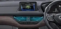 Tata Nexon Kaziranga Air Purifier
