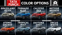 Tata Punch Colour Options