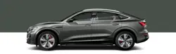 Audi Q8 Sportback e-tron Side View