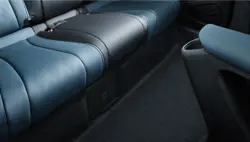 BYD Dolphin Comfortable Rear Passenger Space