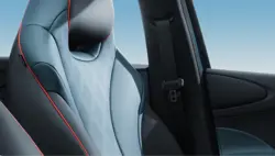 BYD Dolphin Leather Seats