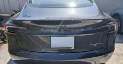 Tesla Model 3 Highland Rear View