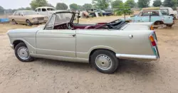 Standard Herald Side View