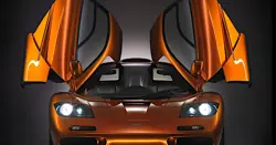 McLaren F1 Open Door View