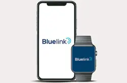 Hyundai Creta Electric Hyundai Bluelink (70+ Connected Car Features)