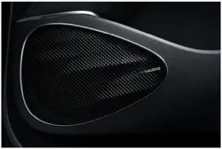 BYD Sealion 7 DYNAUDIO 12 Speakers