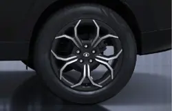 tata-curvv-dark-edition-6847-5311