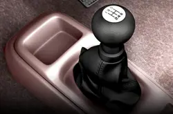 Maruti Special Edition Cars (2011)0