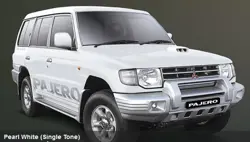 Mitsubishi Pajero (2012)0
