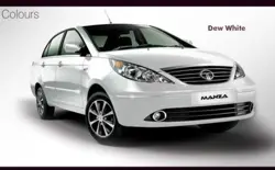 Tata Manza0