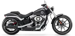 2015 Harley Davidson Breakout (P)