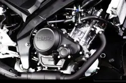 2022 Yamaha R15S 155cc Engine with VVA