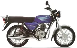 Bajaj Boxer 100 (P)