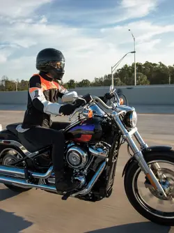 BS6 Harley-Davidson Low Rider Action Shot