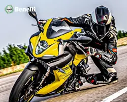 Benelli 302R Action Shot