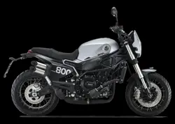 Benelli Leoncino 800 Trail Silver