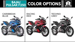 Bajaj Pulsar F250 Colour Options