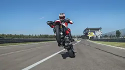 Ducati Hypermotard 950 Wheelie