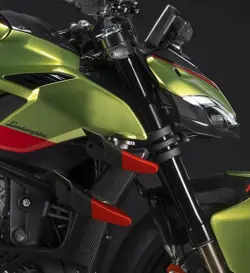 Ducati Streetfighter V4 Lamborghini Front Suspension