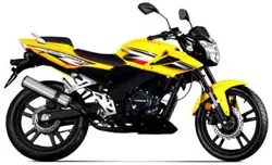 Eider Dronzer (P)