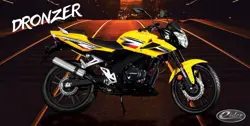 Eider Dronzer (Yellow)