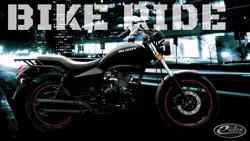 Eider Ruddy Side View