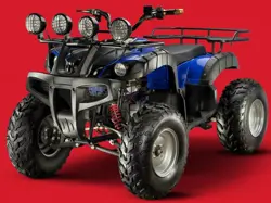 Evolet Warrior Quad Bike