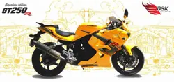 Hyosung GT250R Signature Limited Edition