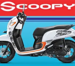 Honda Scoopy Side View