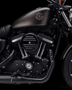 Harley-Davidson Iron 883 Engine