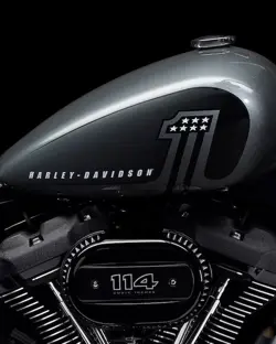 Harley-Davidson Street Bob Fuel Tank