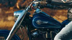 Harley Davidson Fat Boy Bright Chrome Finishes