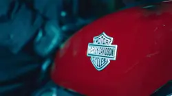 Harley Davidson Nightster Fuel Tank