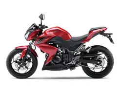 Kawasaki Z250 Side View