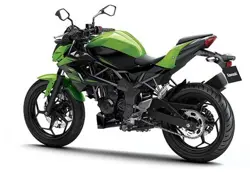 Kawasaki Z250 SL Rear 3-Quarter View