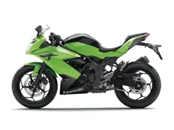 Kawasaki Ninja 250SL Side View