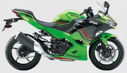 Kawasaki Ninja 400 Side View